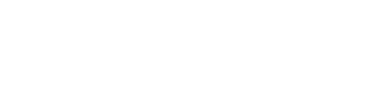 Vanguard Group